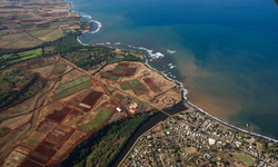 Major Gaps in Hawai'i's Pesticide Regulations Revealed