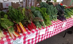 Celebrating Local and Sustainable Food Systems During National Farmers Market Week