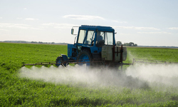 Environmental Protection Agency Releases Interim Decision on Toxic Pesticide Atrazine