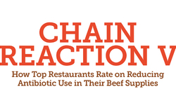 REPORT: Most Fast Food Chains Get Poor Grades for Overuse of Antibiotics in Beef