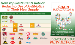 New Antibiotics Scorecard: Number of Top Restaurant Chains Restricting Use in Chicken Doubled in 2016