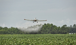 The Trump Administration Again Refuses to Ban the Brain-Toxic Pesticide, Chlorpyrifos