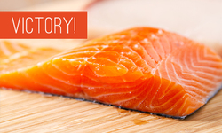 Costco will not sell GMO salmon