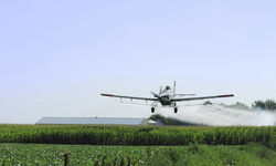 Farmers, Conservationists Challenge Approval of Monsanto's Crop-Damaging Dicamba Pesticide