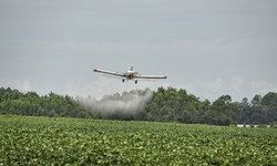 Corteva Drops Plant-Killing Pesticide Dicamba Amid Legal Battles, Drift Concerns