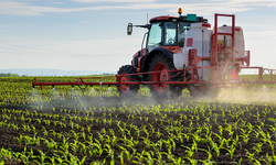Lawsuit Challenging EPA's Approval of Drift-Prone Dicamba Pesticide Moves Forward