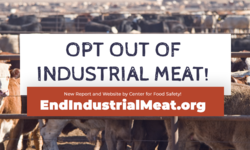 Center for Food Safety Launches EndIndustrialMeat.org to Reduce Climate Change and Transform the U.S. Food System