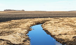 Center for Food Safety Challenges EPA's Failure to Enforce Water Protections