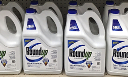 Appeals Court Affirms Historic Roundup Cancer Plaintiff Victory Against Monsanto