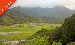 Victory! Kaua'i Protects People Over Pesticide Industry