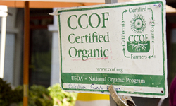 Partial Victory to Protect National Organic Standards Board