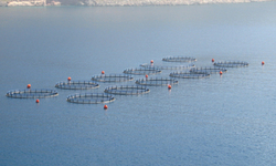 Fishing and Public Interest Groups File Challenge to Fed's Unprecedented Decision to Establish Aquaculture in Offshore U.S. Waters