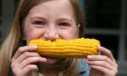 Are GMOs safe? No consensus in the science, scientists say in peer-reviewed statement