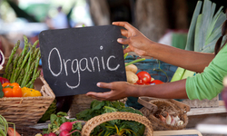 New USDA Announcement Undermines Organic Standards