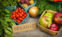Organic is Clearly Better When it Comes to Reducing Toxic, Synthetic Pesticides