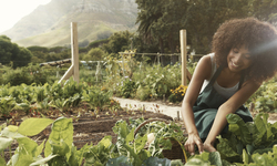 17 Reasons to Celebrate Women in Agriculture