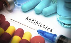 WHO Recommends Sharp Reduction in Use of Antibiotics in Animal Agriculture