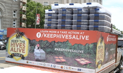 New Film to Promote Pollinator Protection Kicks Off Keep the Hives Alive Coalitionâ€™s 10th Annual National Pollinator Week