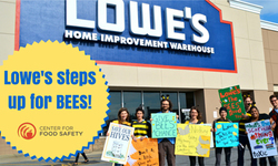 Lowe's Agrees to Phase Out Bee-Toxic Neonicotinoid Insecticides