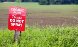 Victory!! Pesticide Contamination Prohibited from Organic Production