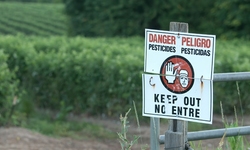 Half a Million Ask EPA to Reject Expanded Agricultural Use of Toxic Pesticide 2,4-D