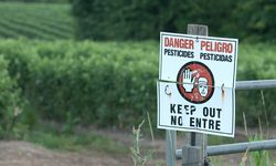 California Court Ruling Ends Decades of State Pesticide Spraying
