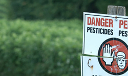 Court Allows Center for Food Safety to Defend California from Monsanto Attack