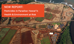 Hawai'i Center for Food Safety Releases Cutting-Edge Report on  Agricultural Pesticide Use in Hawai'i