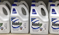 Judge Denies Bayer's 'Clearly Unreasonable' Proposal to Settle Future Roundup Cancer Claims