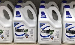 Farmworkers and Conservationists' Lawsuit Seeking to Remove Roundup from the Market Moves Forward
