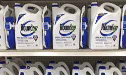 124 Organizations Demand Home Depot and Lowe's Immediately Pull Cancer-Linked Weedkiller Following Bayer Announcement that Glyphosate Will Remain in Roundup Until 2023