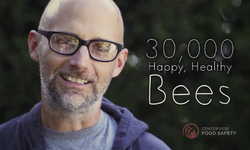 How Moby became our BEE man