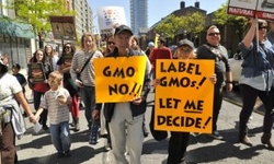 Senate Is on Verge of Passing Dangerous Pro-Monsanto Food Labeling Law