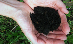 The Soil Carbon Opportunity