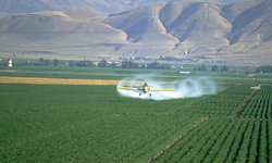 Lawsuit Challenging EPA Approval of Harmful Herbicide Advances