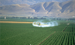 Next Generation of Pesticide-Promoting Crops Are Imminent
