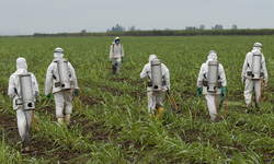 Public Interest Groups, Farmers File Lawsuit Challenging  Monsanto's Toxic Pesticides