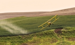 USDA Approves New GE Corn and Soy, Triggering Onslaught of Millions of Pounds more Pesticides