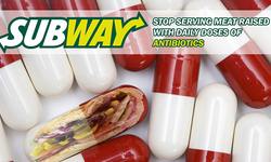 Where's the Meat? Subway Moves to Reduce Antibiotics in Chicken, But Gives No Details or Timelines