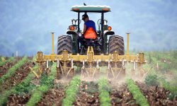 Center for Food Safety Farm Bill Priorities Sent to Conferees