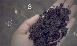 Soil Solutions film now with Simplified Chinese subtitles!