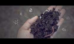 A secret weapon to fight climate change: dirt
