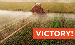 Court Rejects California's Blanket Approval of Pesticide Spraying