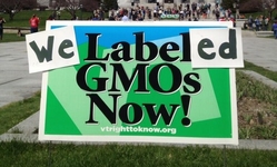 Vermont Public Interest Research Group and Center for Food Safety Move to Defend Vermont GE Labeling Law