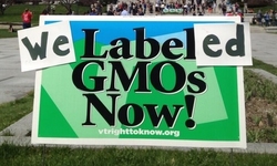 Court Declares Vermont's Genetically Engineered Food Labeling Law Constitutional
