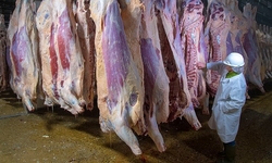 New Consumer Lawsuit Challenges USDA's Dirty and Dangerous New Swine Inspection System