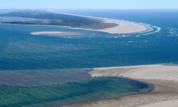 Agreement protects Willapa Bay, Grays Harbor from spraying of dangerous pesticide
