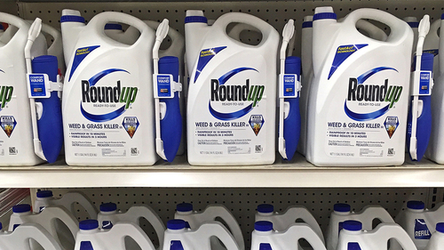 Exposure to the Herbicide Glyphosate (the Ingredient in Roundup)