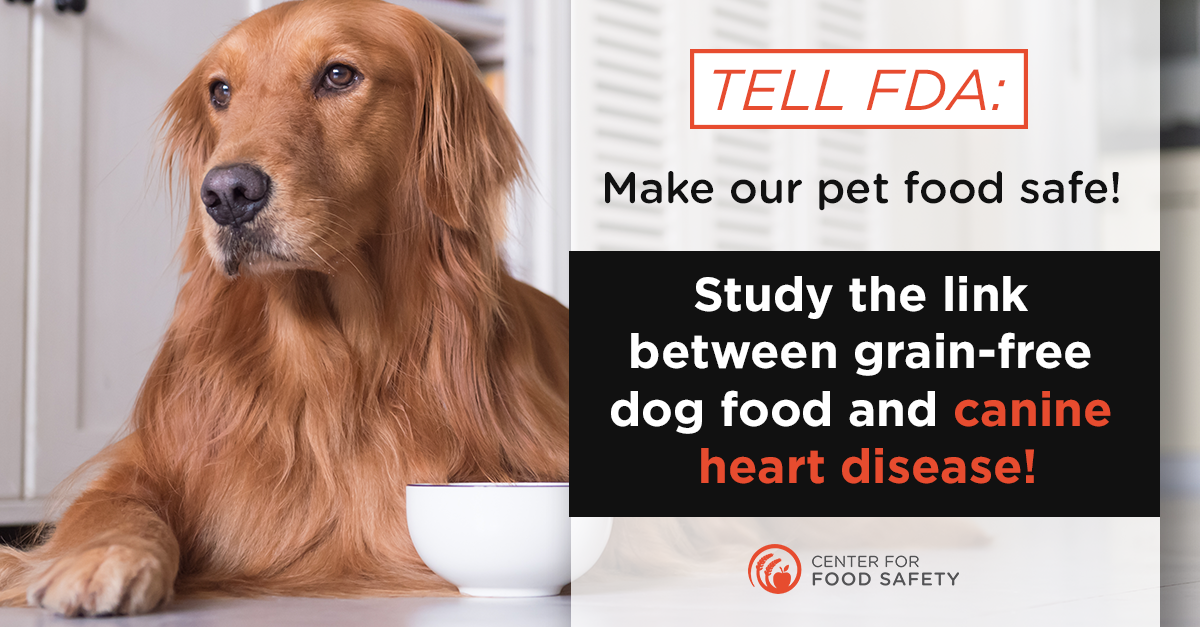 National-Food-Safety-Education-Month - Fear Free Pets