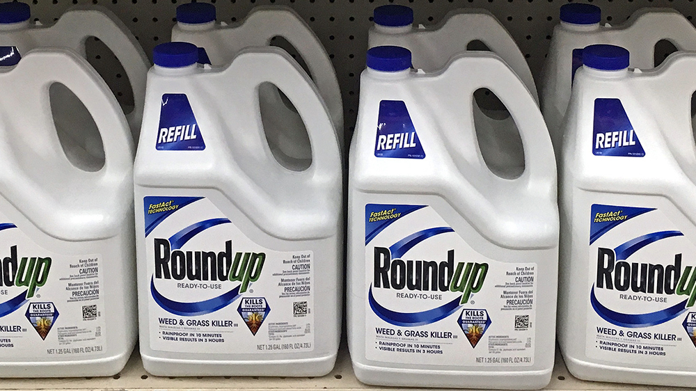 New Study: Undisclosed Inert Ingredients in Some Popular Roundup Products  Found to Be Highly Toxic to Bumblebees